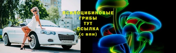 spice Абаза