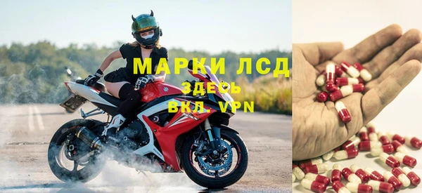 индика Сафоново