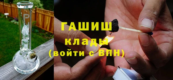 твердый Гатчина