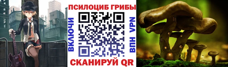 Псилоцибиновые грибы Magic Shrooms  наркота  Задонск 