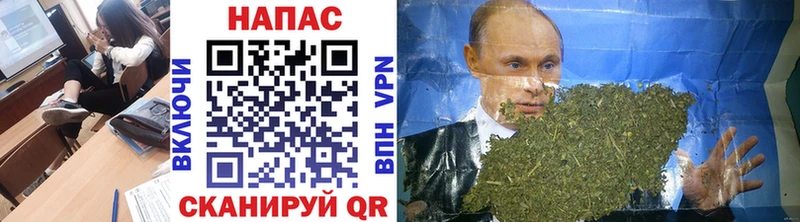 Бошки Шишки сатива  omg ССЫЛКА  Задонск 
